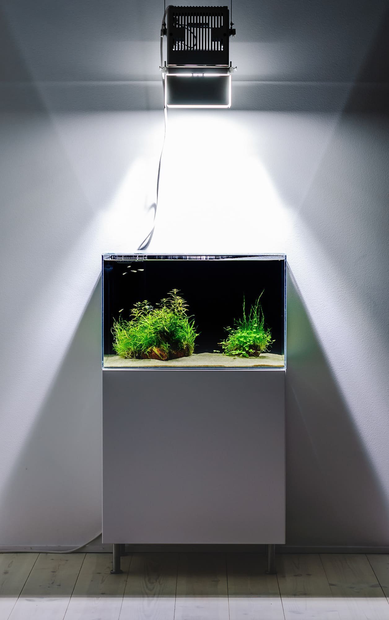 Nano akvárium, designový doplněk do vašeho bytu