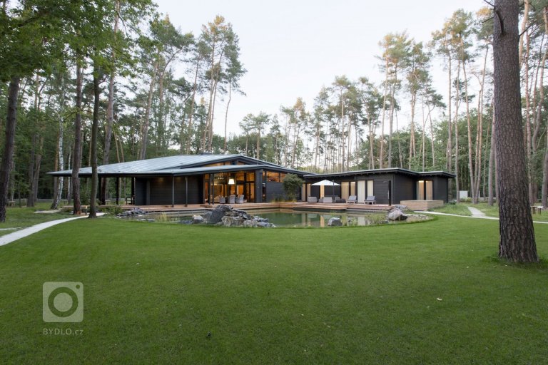 add picture to album