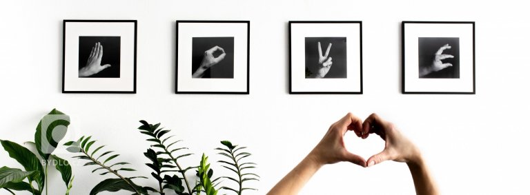 add picture to album