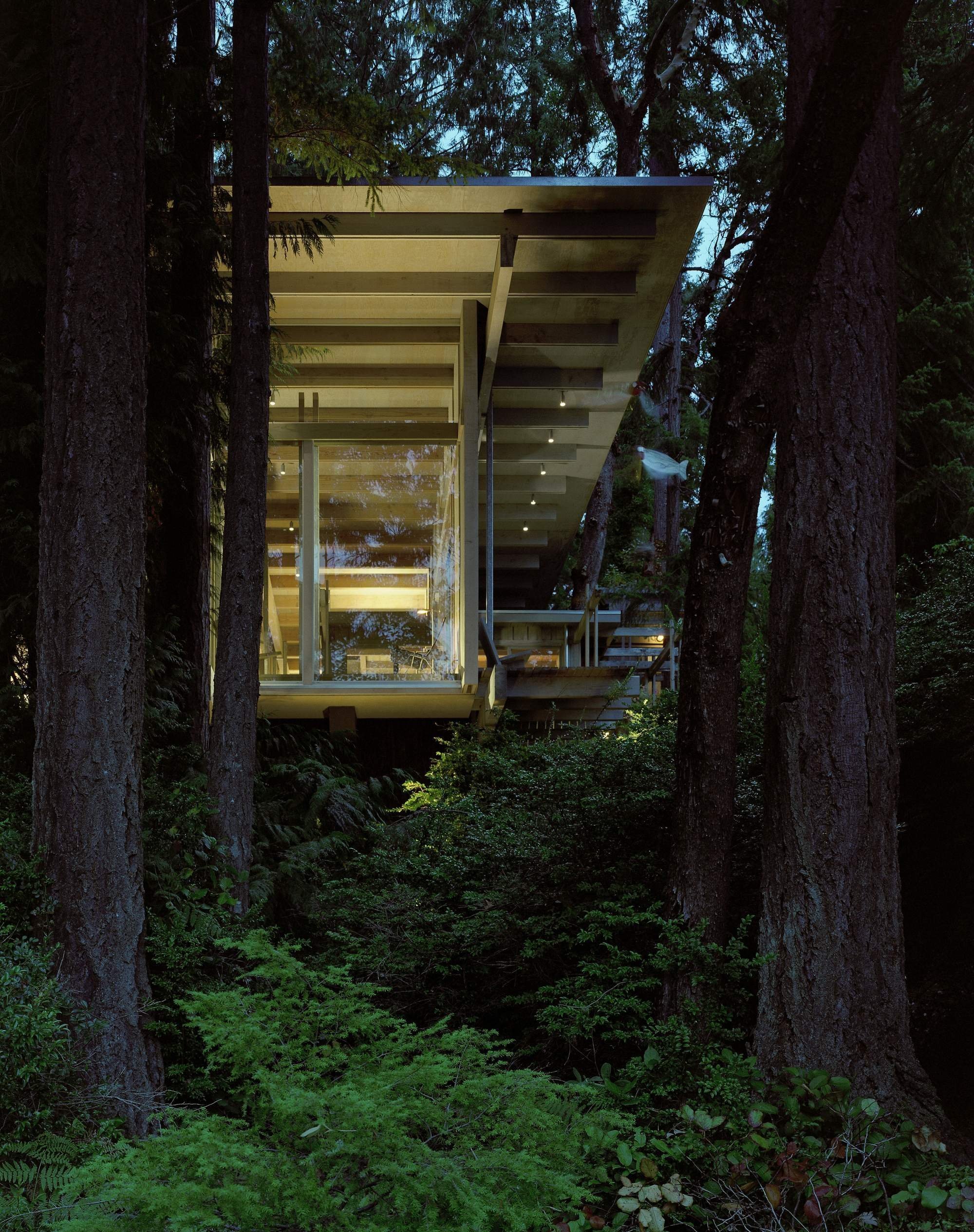 Domov uprostřed lesa budoval přes 60 let