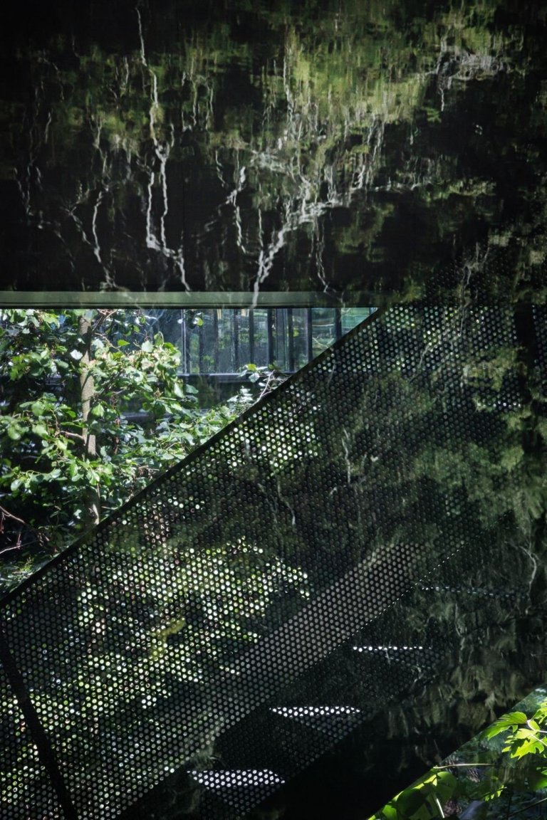 Dům, kde se ocel mísí se zelení