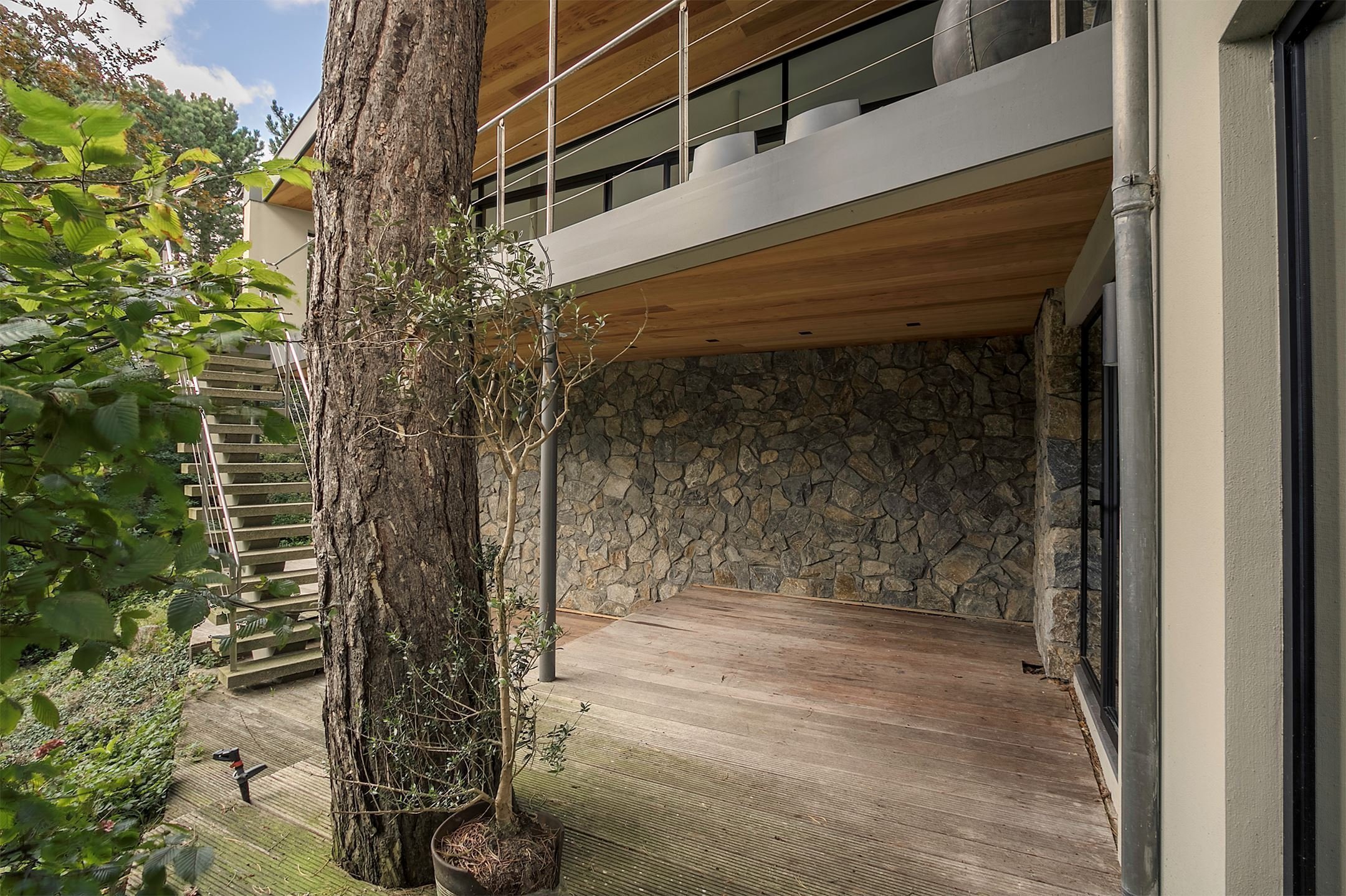 Dům obklopený lesem