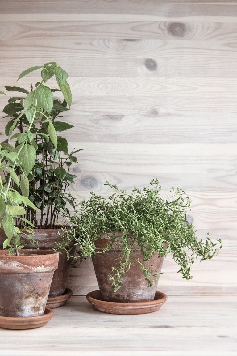 Neobvyklý interiér