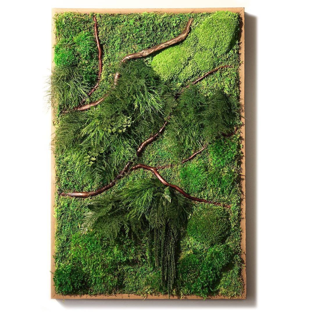 Obrazy z mumifikovaného mechu jsou výjimečný interiérový prvek