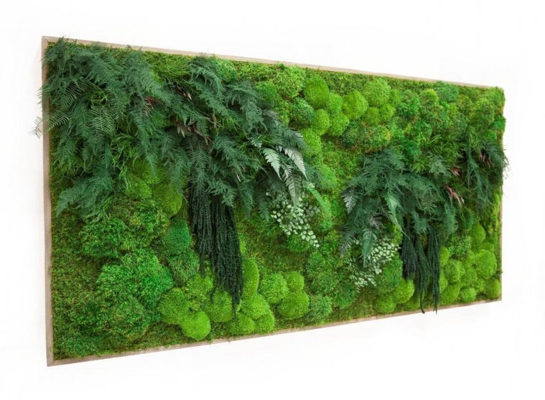 Obrazy z mumifikovaného mechu jsou výjimečný interiérový prvek