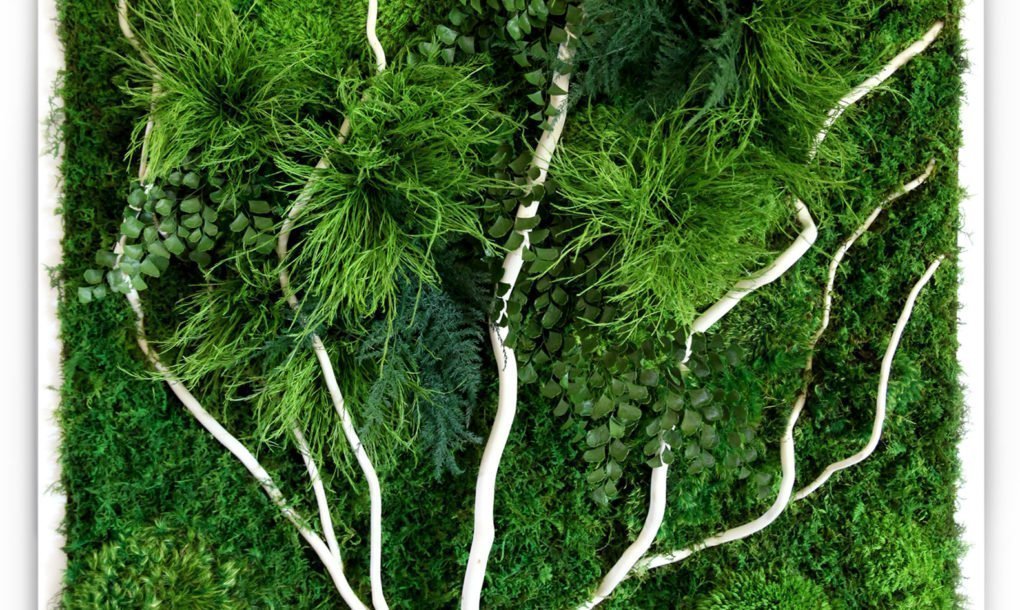 Obrazy z mumifikovaného mechu jsou výjimečný interiérový prvek