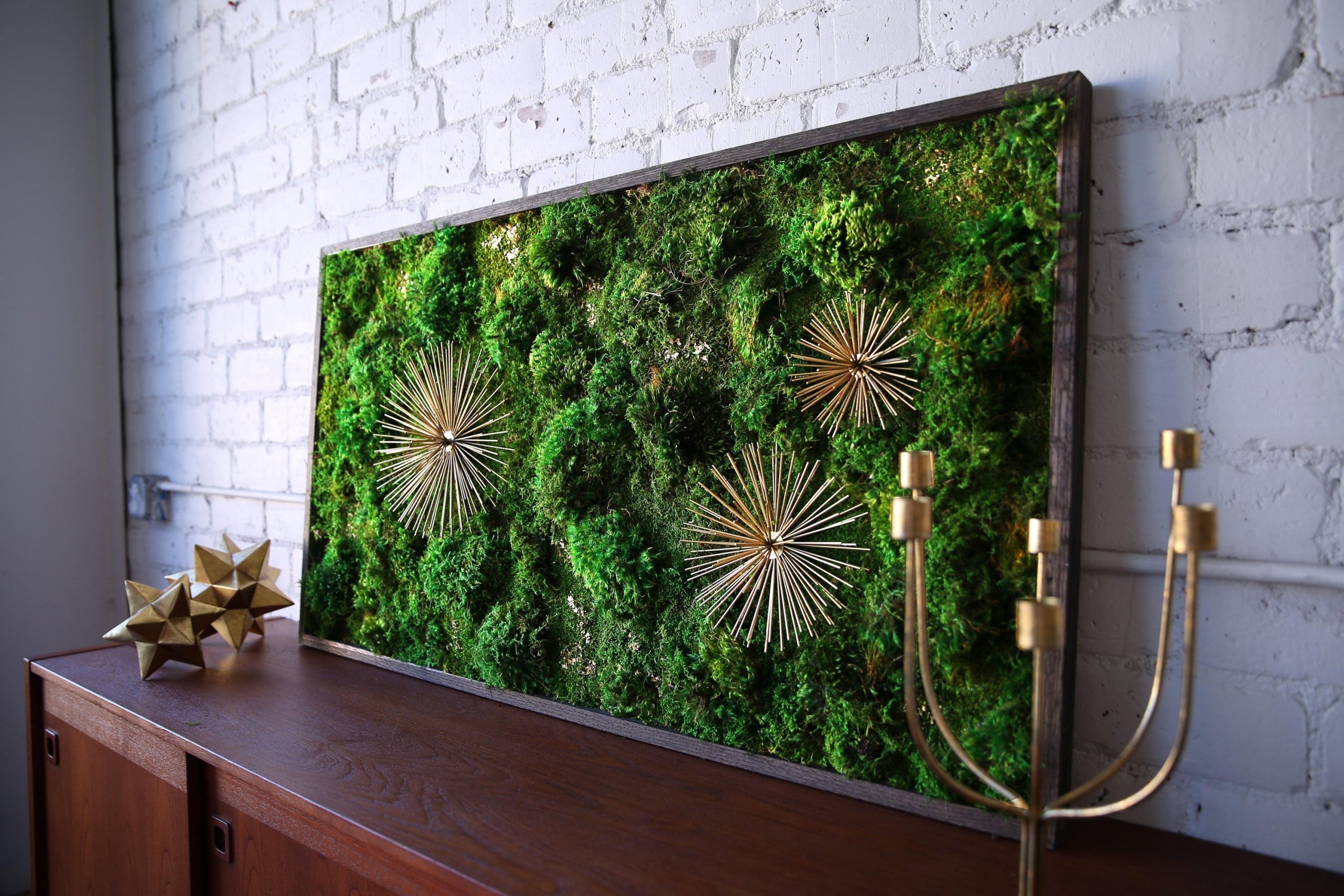 Obrazy z mumifikovaného mechu jsou výjimečný interiérový prvek