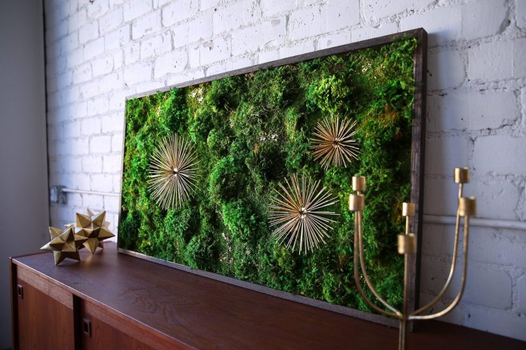 Obrazy z mumifikovaného mechu jsou výjimečný interiérový prvek