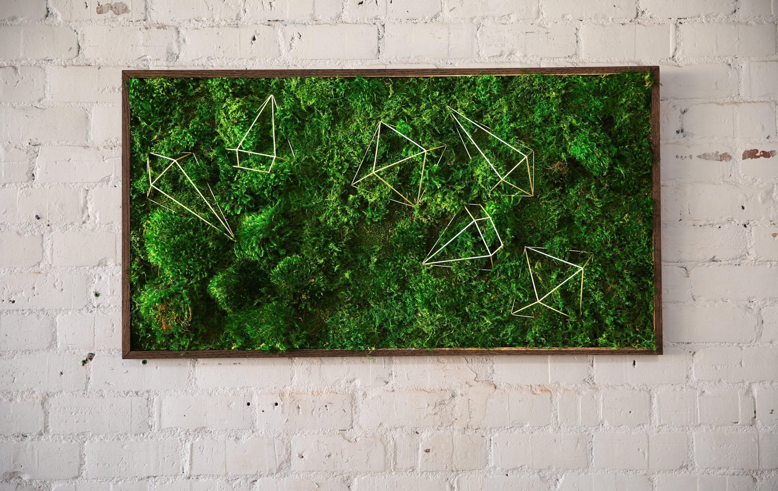 Obrazy z mumifikovaného mechu jsou výjimečný interiérový prvek