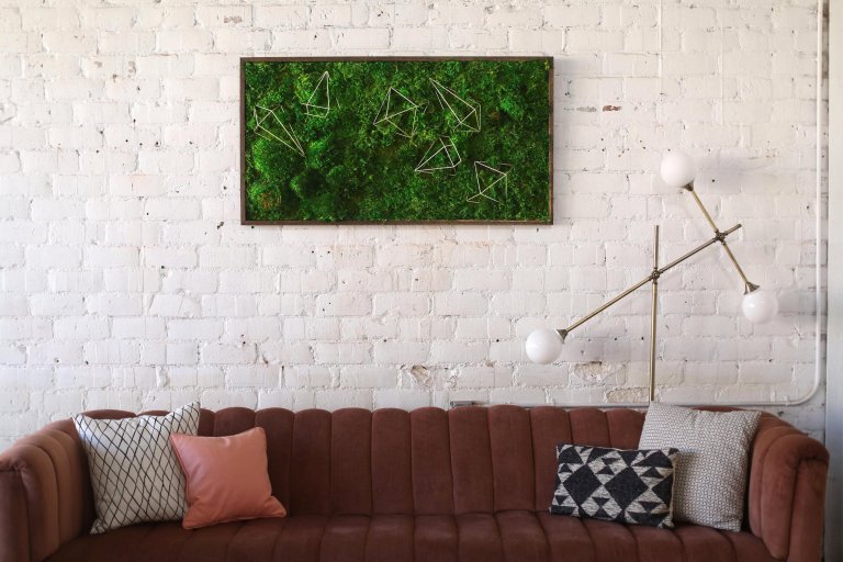 Obrazy z mumifikovaného mechu jsou výjimečný interiérový prvek