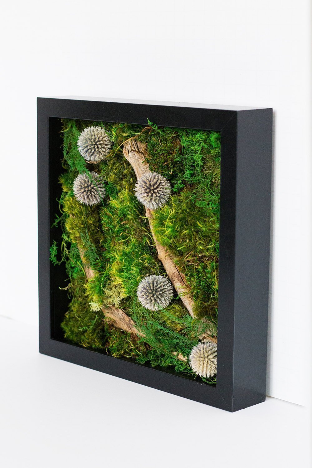 Obrazy z mumifikovaného mechu jsou výjimečný interiérový prvek