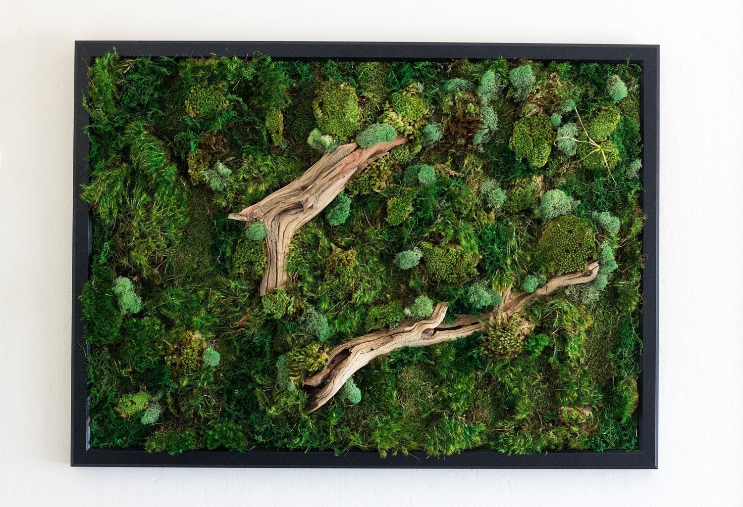 Obrazy z mumifikovaného mechu jsou výjimečný interiérový prvek