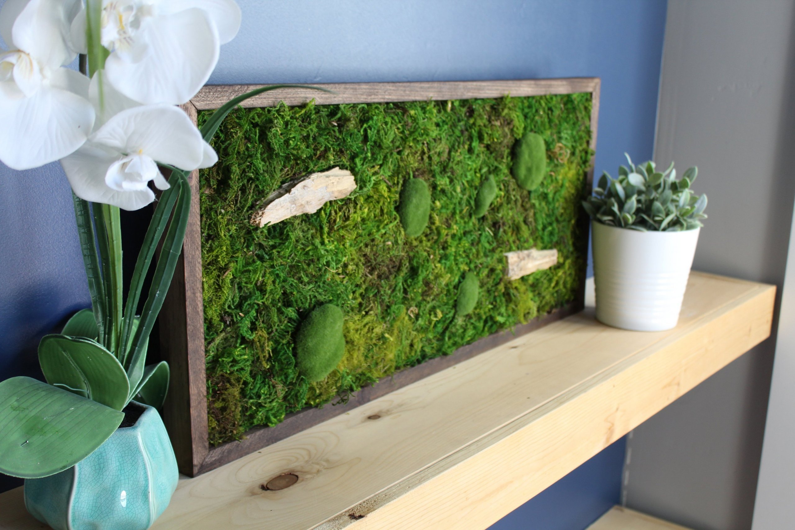 Obrazy z mumifikovaného mechu jsou výjimečný interiérový prvek