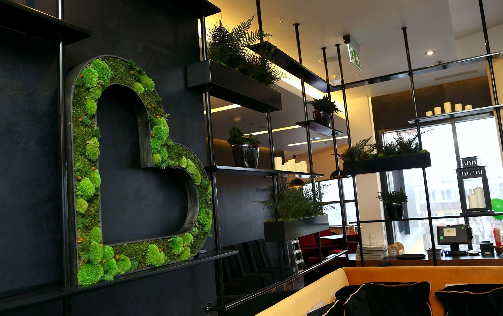 Obrazy z mumifikovaného mechu jsou výjimečný interiérový prvek