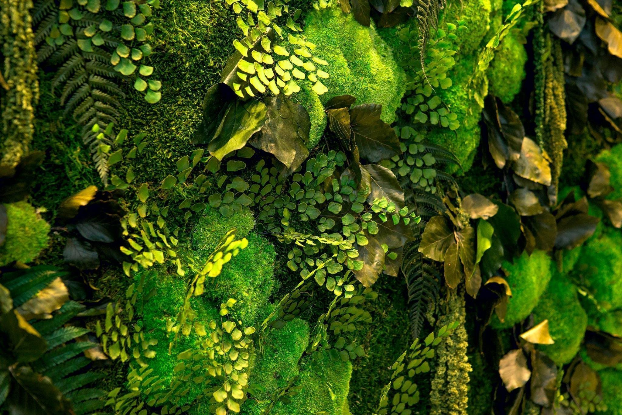 Obrazy z mumifikovaného mechu jsou výjimečný interiérový prvek