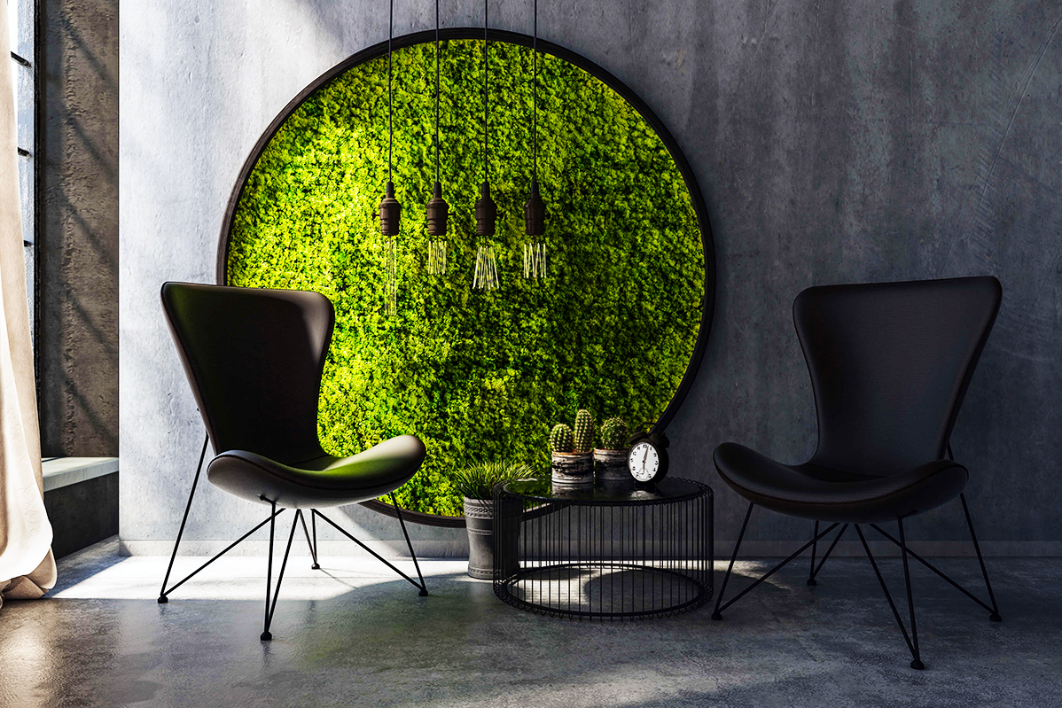 Obrazy z mumifikovaného mechu jsou výjimečný interiérový prvek