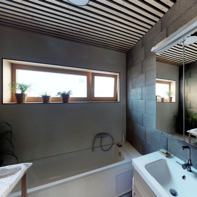 Rodinný dům se světlíkem