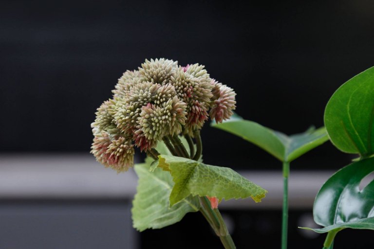 Šedá barva v interiéru není nuda