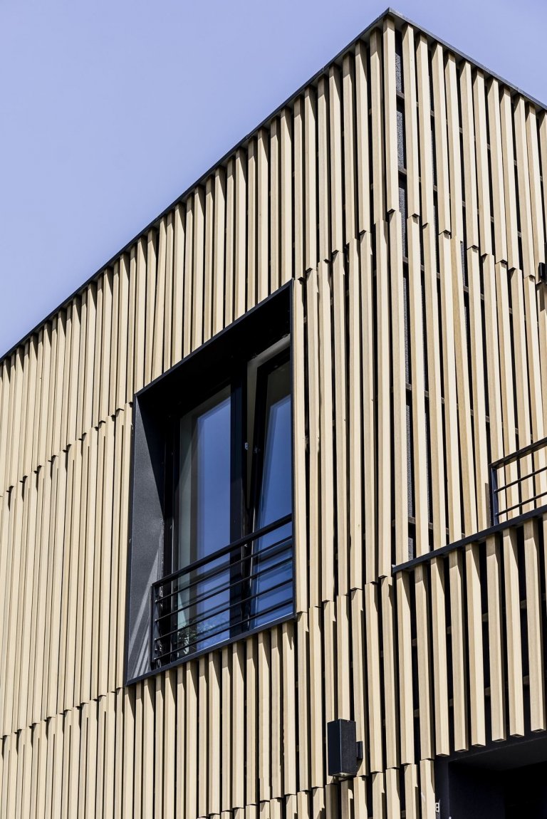 Sen o moderním bydlení v bažinaté krajině