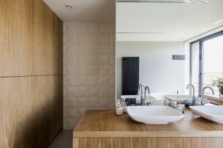 Sen o moderním bydlení v bažinaté krajině