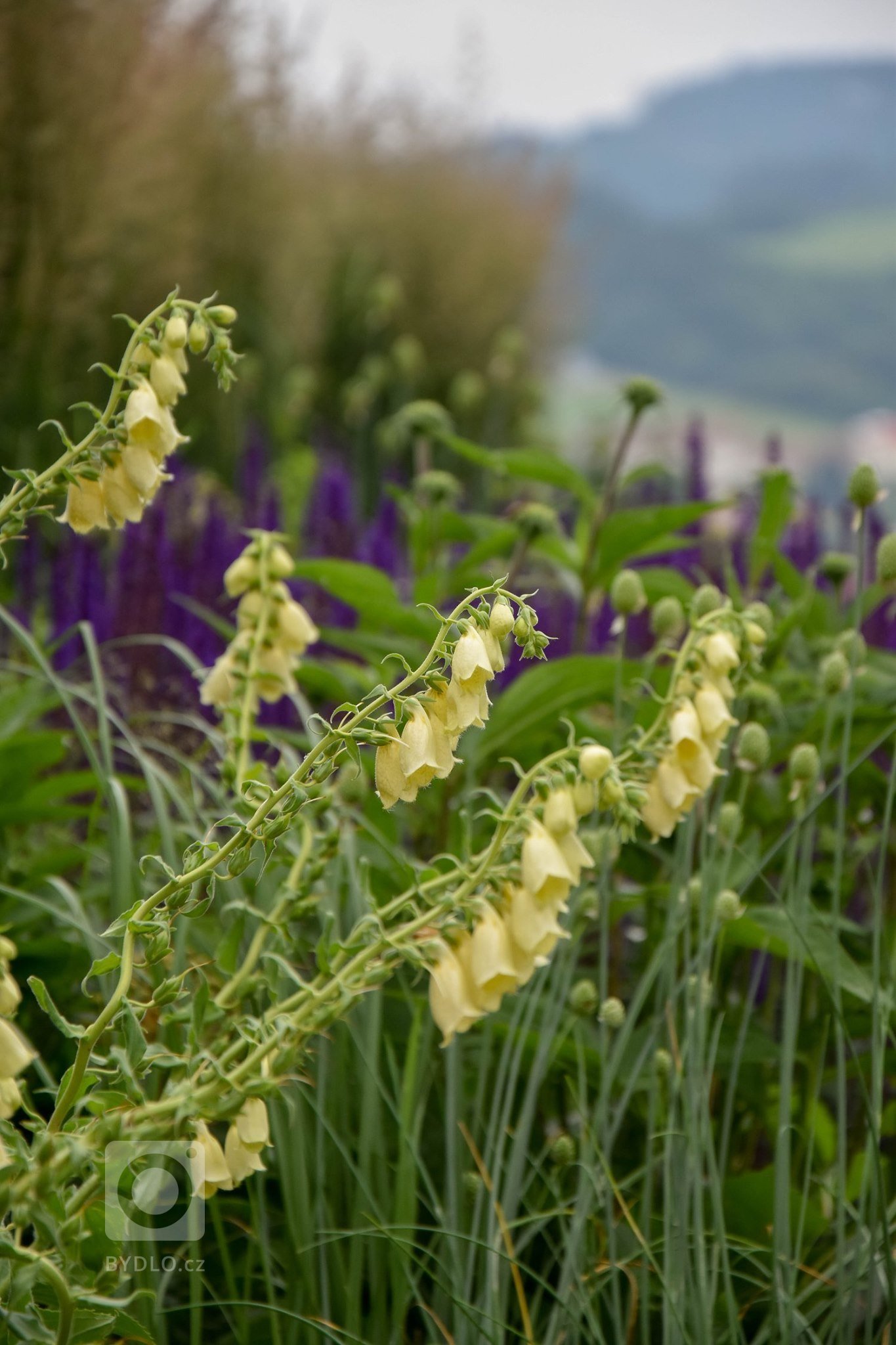 Pro nás lehce netypická destinace - přírodní zahrada u domu od&nbsp;Kamil Mrva Architects&nbsp;v Beskydech. Moderní dům, leč kolem ryze přírodní zahrada. Start…