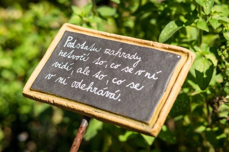 Jak na bylinkovou zahrádku? Klasicky, nebo od lesa?
