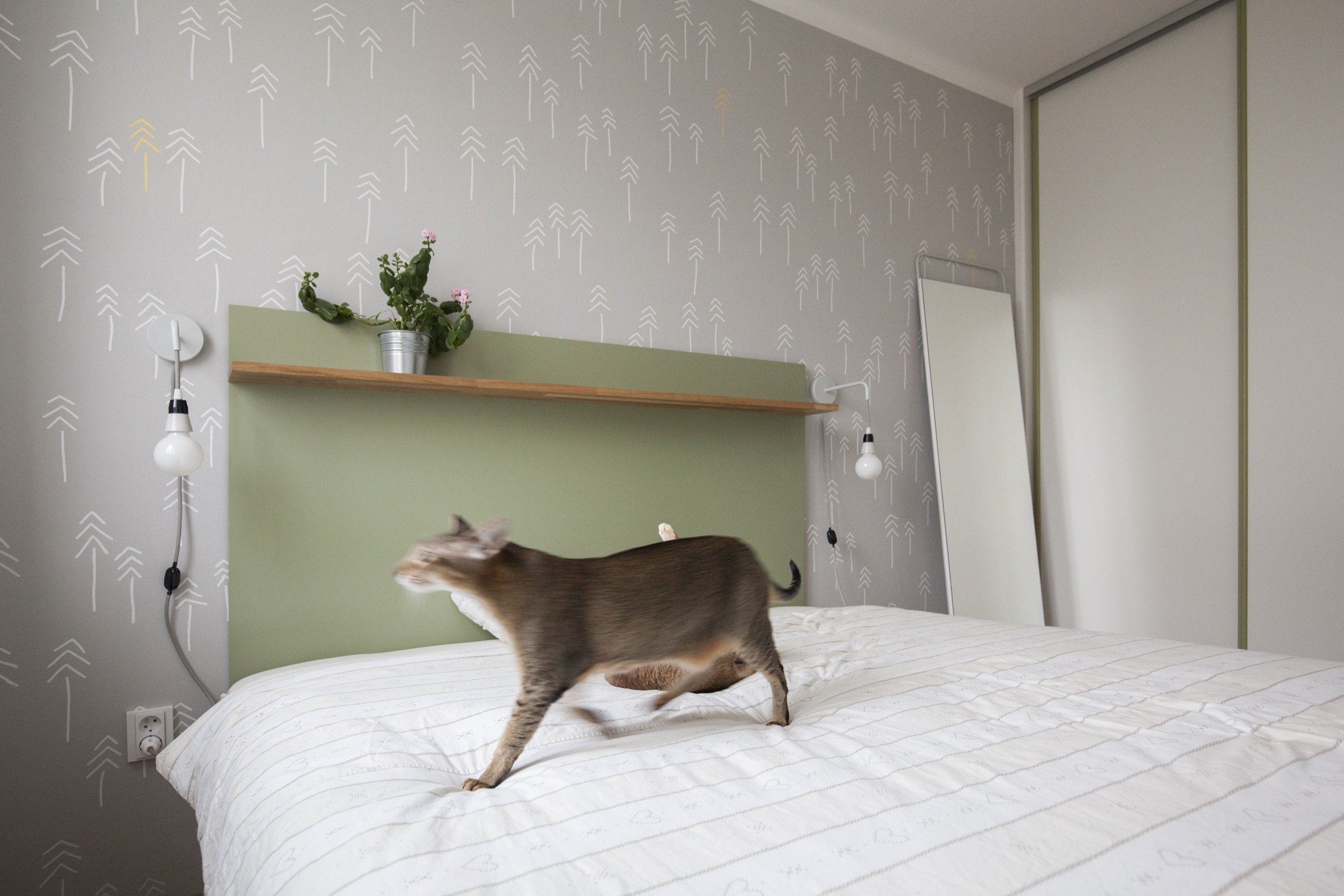 Kočičí byt v Dejvicích - příjemné bydlení na 38 m²