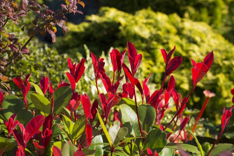 Oceňovaná zahrada hraje všemi odstíny podzimních barev