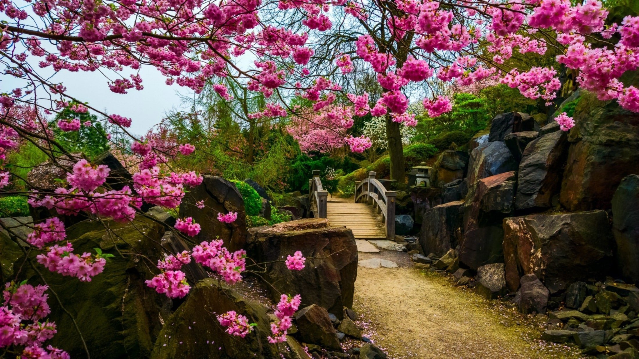 Hledáte klid mysli? Založte si japonskou zahradu