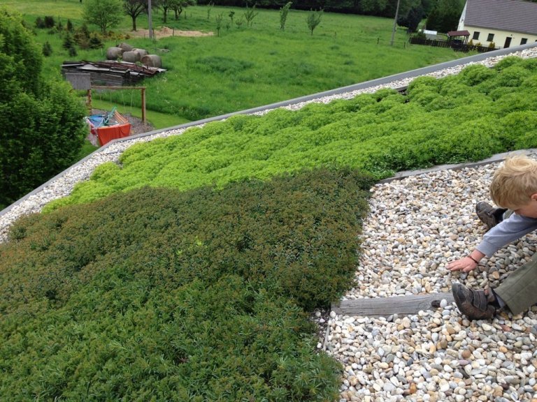 Zelená střecha na RD a přístavcích, výborné tepelné vlastnosti, úžasný vzhled
