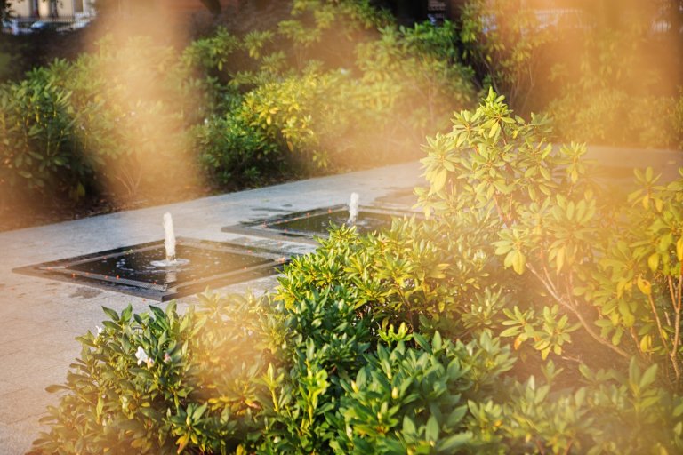 City Park Hotel & Residence