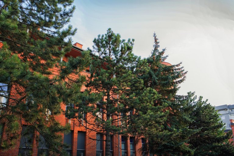 City Park Hotel & Residence