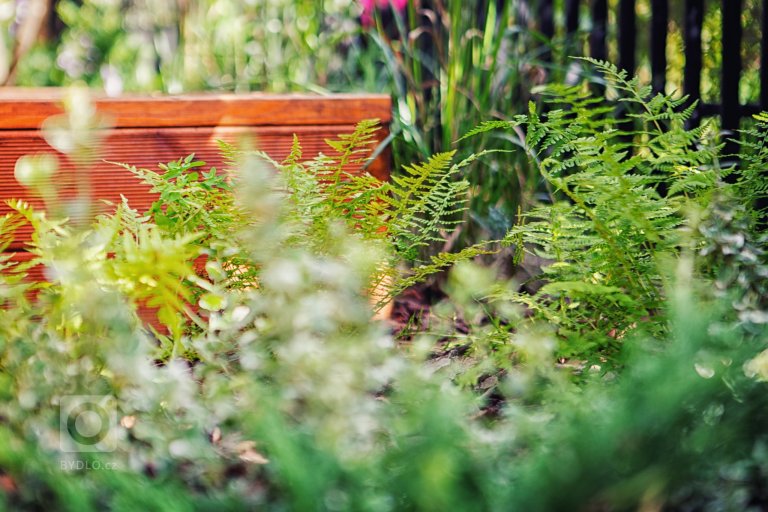 add picture to album