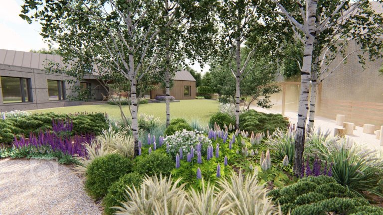 add picture to album