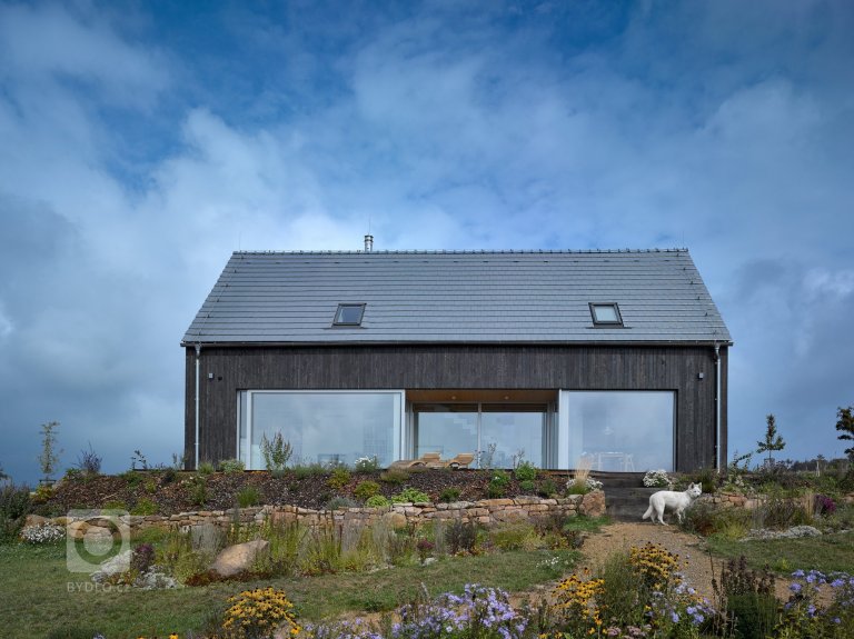 add picture to album