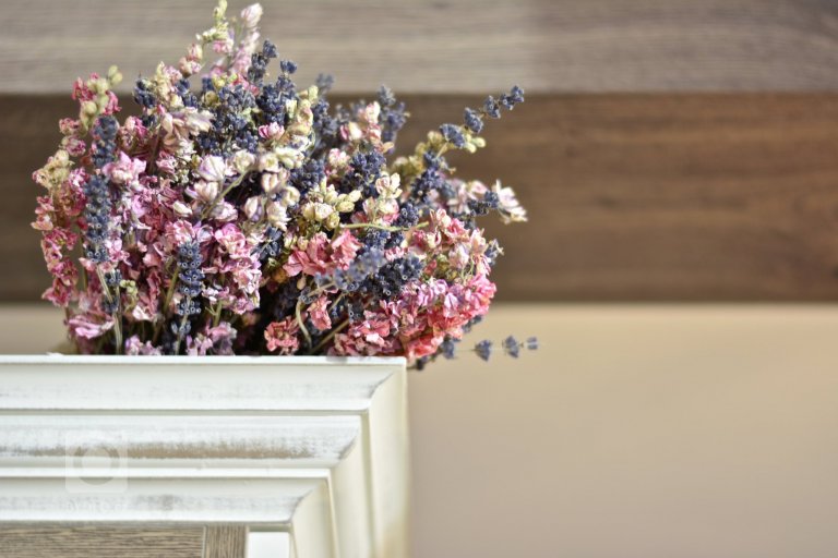 add picture to album