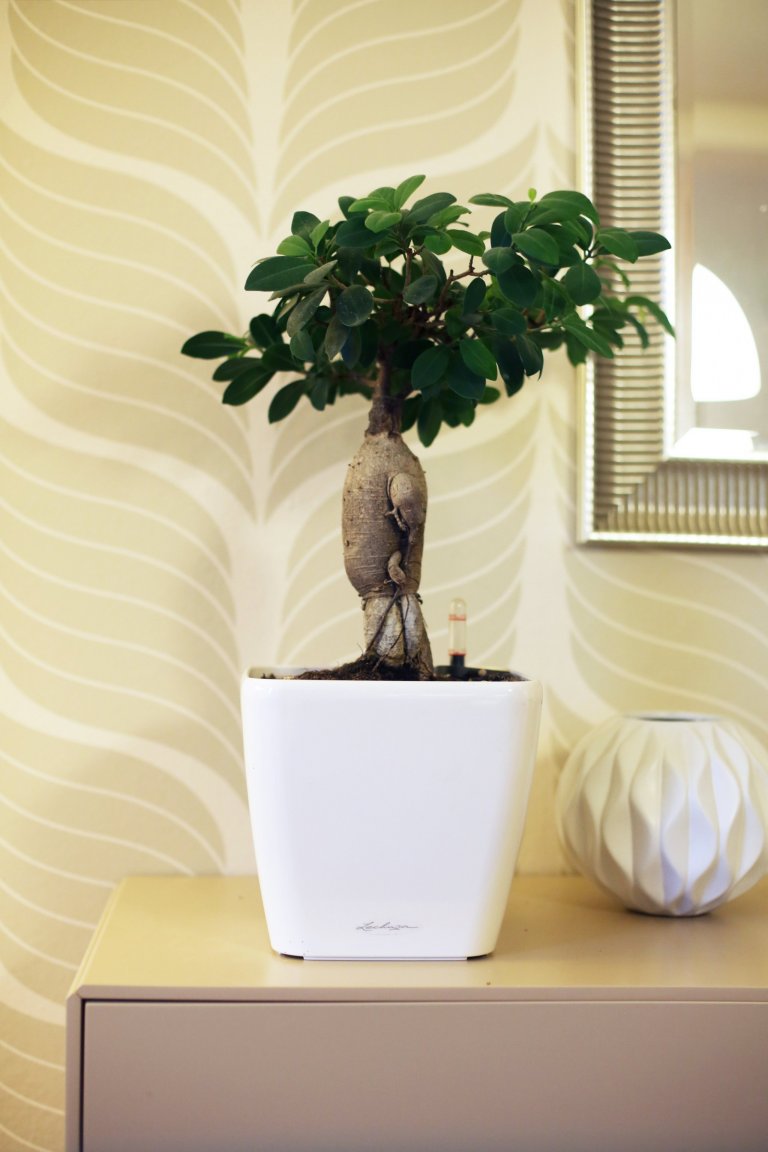 Renovace obývacího pokoje s jídelnou v rodinném domě ve středočeském kraji. Ta zahrnovala výrobu nábytku na míru z lakované MDF, dekorování stěn tapetami a…