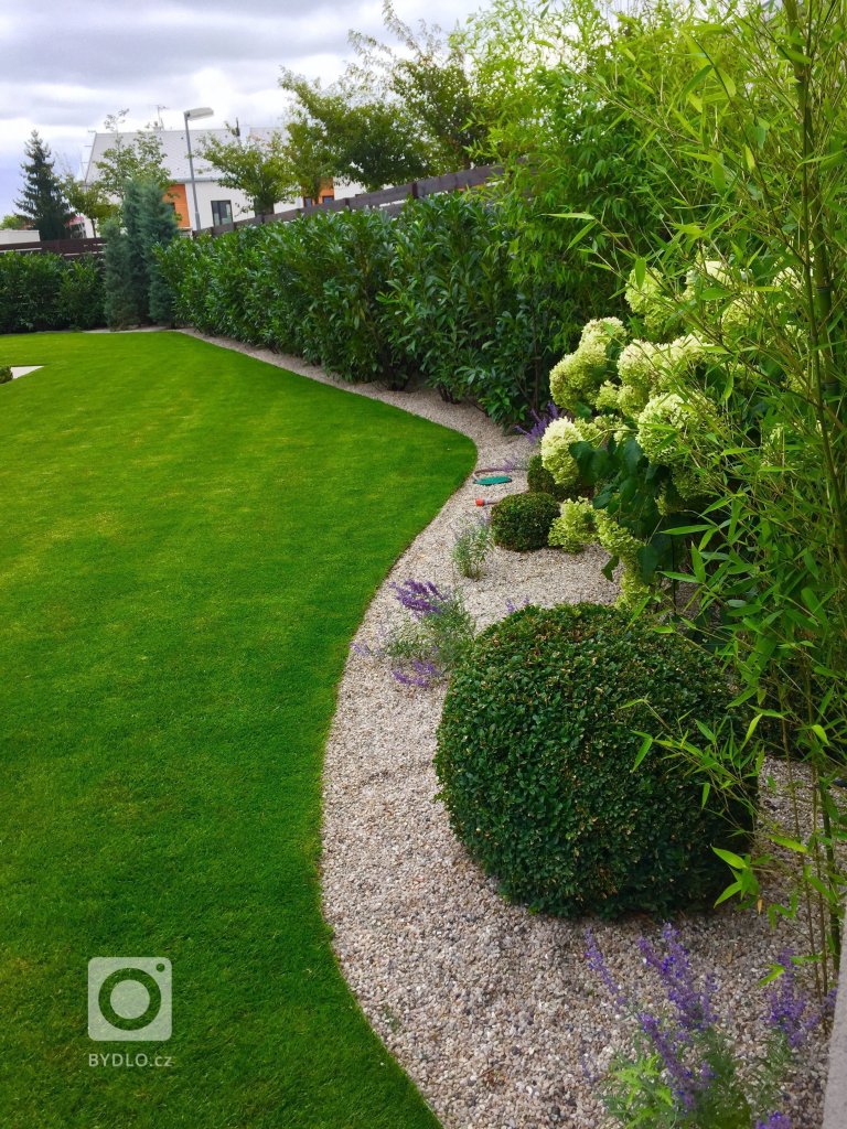 add picture to album